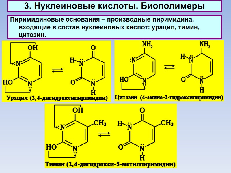 3. Нуклеиновые кислоты. Биополимеры Пиримидиновые основания – производные пиримидина, входящие в состав нуклеиновых кислот: